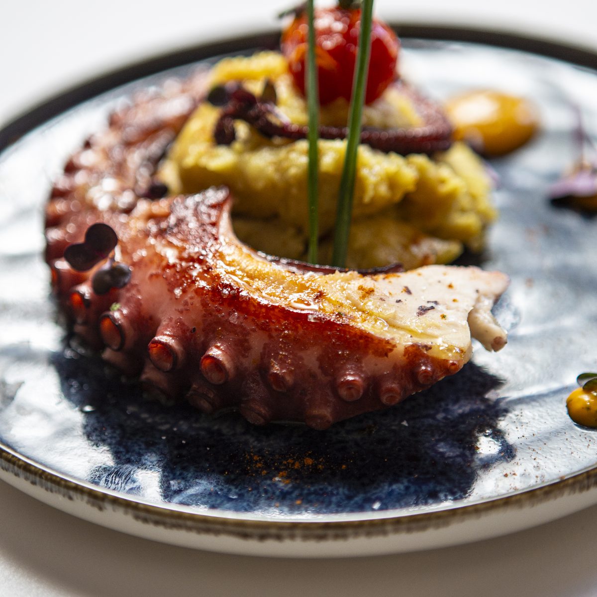 Grilled octopus with lime mashed potatoes at Can Frasquet